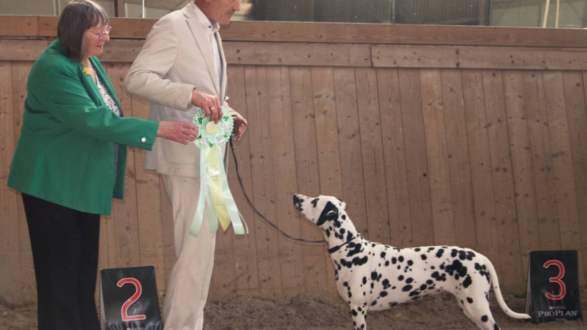 🏆 WAFDAL & CDF Clubsiegerschau in Münchsgrün