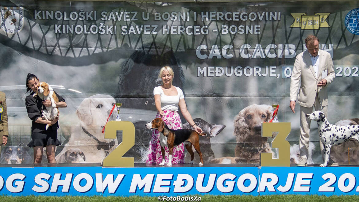 🏆 Dog Show Međugorje 2025 – Bosnia Herzegovina 🇧🇦