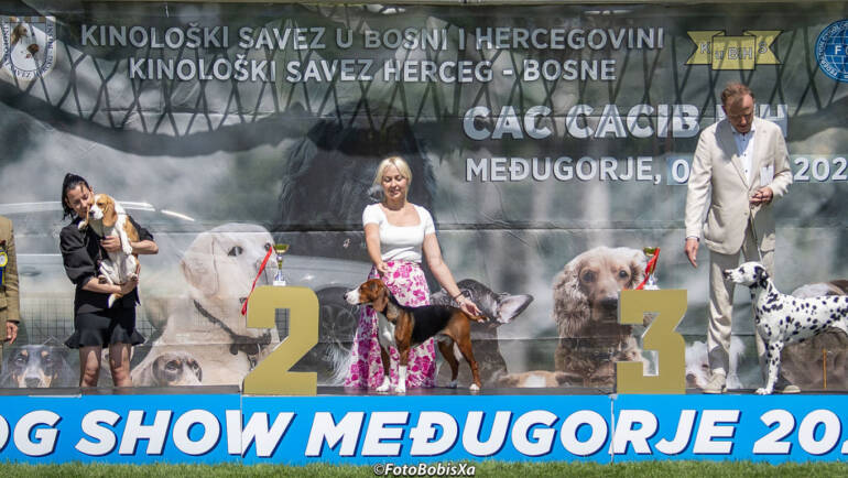 🏆 Dog Show Međugorje 2025 – Bosnia Herzegovina 🇧🇦