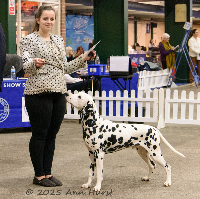 Manchester 2025; Ch Bleize De Montjuic At Winflash - DCC