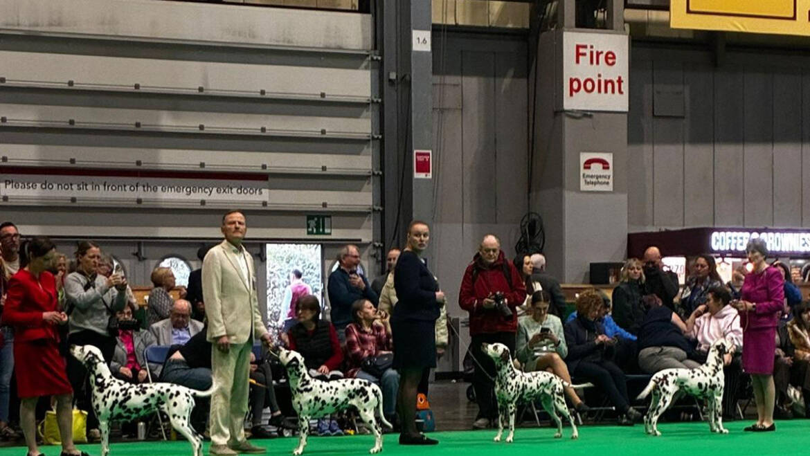 🇬🇧 Crufts 2026